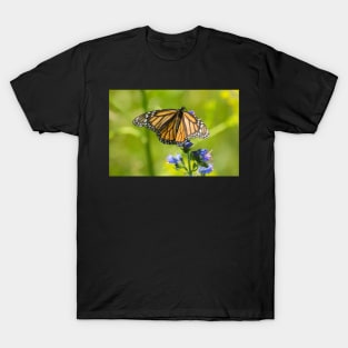 Monarch T-Shirt